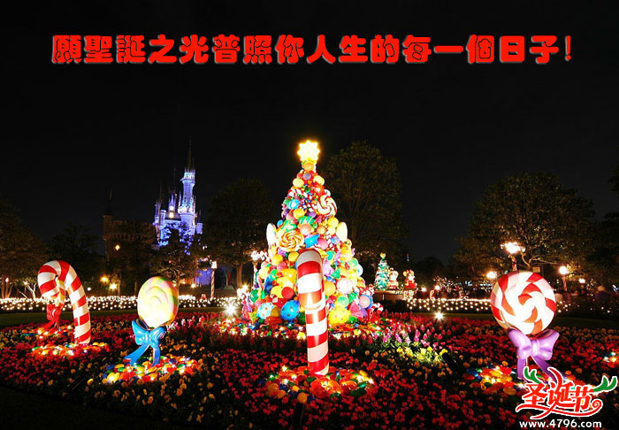 ʥ����ף����